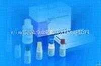 鼠抗人Bax單克隆抗體