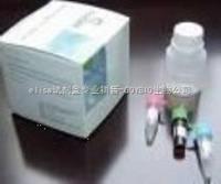 B細胞連接蛋白