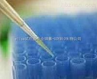 兔抗小鼠IgG-FC免疫血清抗體