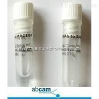 兔抗狗IgG-FITC抗體