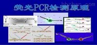 實時熒光PCR試劑盒