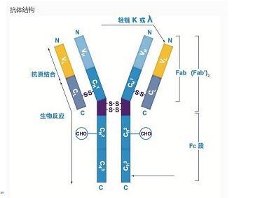 圖片1.jpg