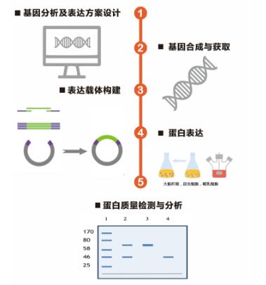 QQ截圖20230818160758.jpg