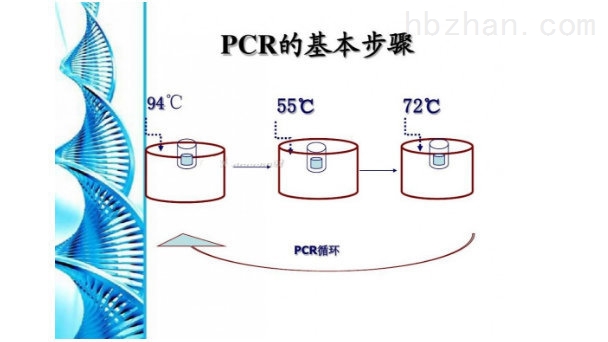 PCR純化試劑盒.jpg