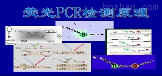 實時熒光PCR試劑盒.jpg